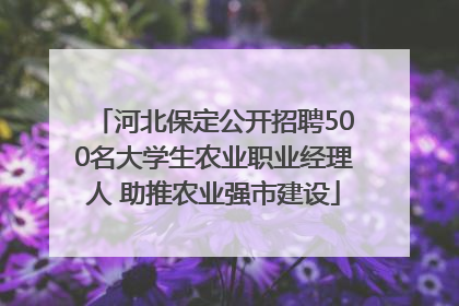 河北保定公开招聘500名大学生农业职业经理人 助推农业强市建设
