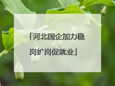 河北国企加力稳岗扩岗促就业