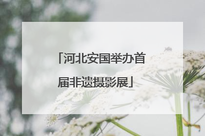 河北安国举办首届非遗摄影展