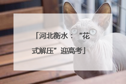 河北衡水：“花式解压”迎高考