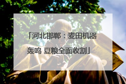 河北邯郸：麦田机器轰鸣 夏粮全面收割