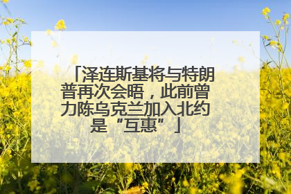 泽连斯基将与特朗普再次会晤，此前曾力陈乌克兰加入北约是“互惠”