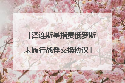 泽连斯基指责俄罗斯未履行战俘交换协议
