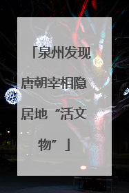 泉州发现唐朝宰相隐居地“活文物”