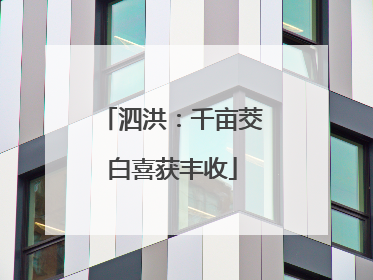 泗洪：千亩茭白喜获丰收