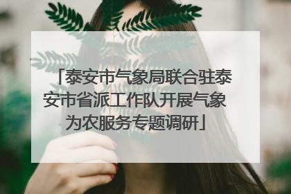 泰安市气象局联合驻泰安市省派工作队开展气象为农服务专题调研