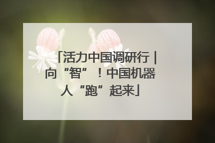 活力中国调研行｜向“智”！中国机器人“跑”起来