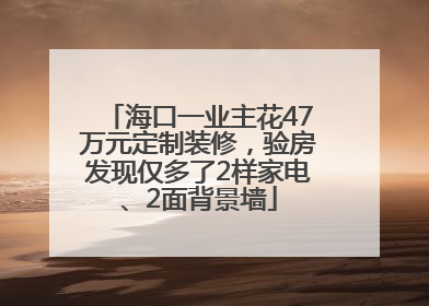 海口一业主花47万元定制装修，验房发现仅多了2样家电、2面背景墙