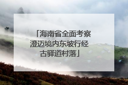 海南省全面考察澄迈境内东坡行经古驿道村落