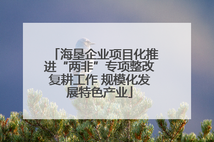 海垦企业项目化推进“两非”专项整改复耕工作 规模化发展特色产业