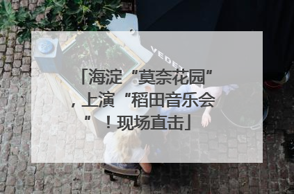 海淀“莫奈花园”，上演“稻田音乐会”！现场直击