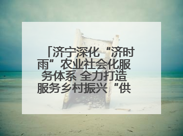 济宁深化“济时雨”农业社会化服务体系 全力打造服务乡村振兴“供销样板”