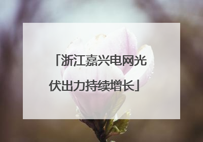 浙江嘉兴电网光伏出力持续增长