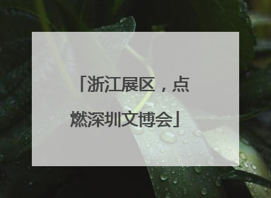 浙江展区，点燃深圳文博会