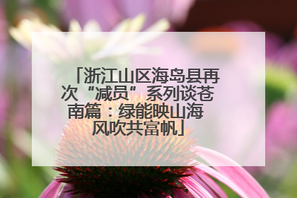 浙江山区海岛县再次“减员”系列谈苍南篇：绿能映山海 风吹共富帆