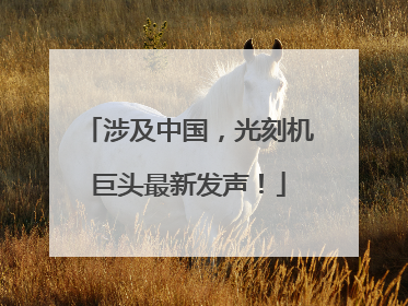 涉及中国，光刻机巨头最新发声！