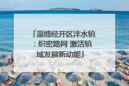 淄博经开区沣水镇：织密路网 激活镇域发展新动能