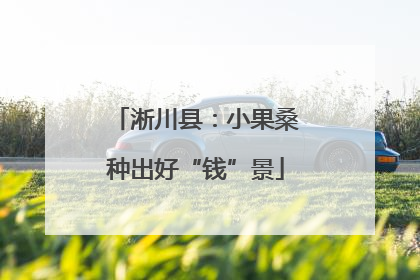淅川县：小果桑种出好“钱”景