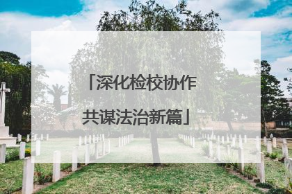 深化检校协作 共谋法治新篇