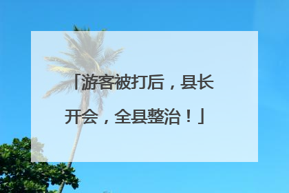 游客被打后，县长开会，全县整治！