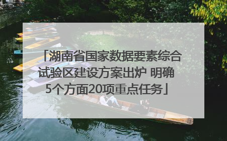 湖南省国家数据要素综合试验区建设方案出炉 明确5个方面20项重点任务