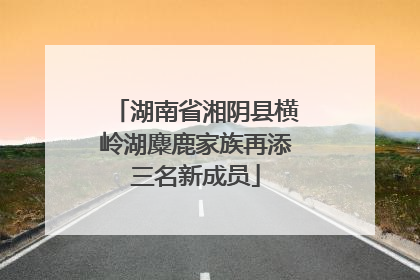湖南省湘阴县横岭湖麋鹿家族再添三名新成员