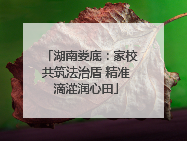 湖南娄底：家校共筑法治盾 精准滴灌润心田