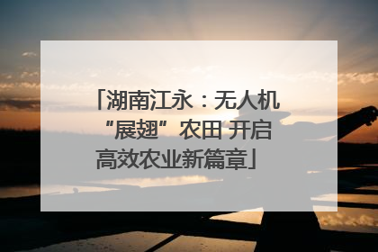 湖南江永：无人机“展翅”农田 开启高效农业新篇章