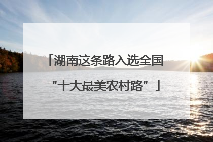 湖南这条路入选全国“十大最美农村路”