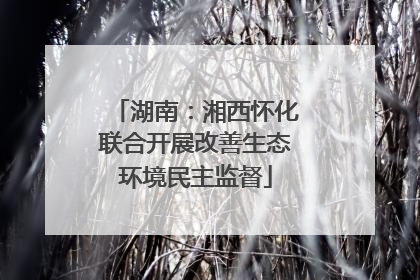 湖南：湘西怀化联合开展改善生态环境民主监督