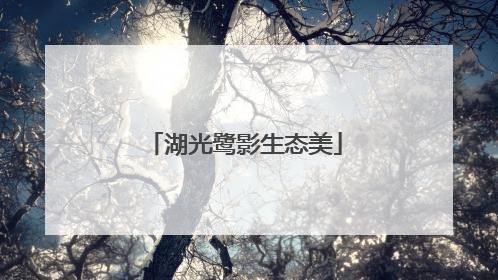 湖光鹭影生态美
