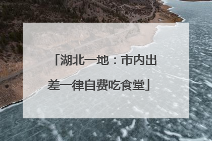 湖北一地：市内出差一律自费吃食堂