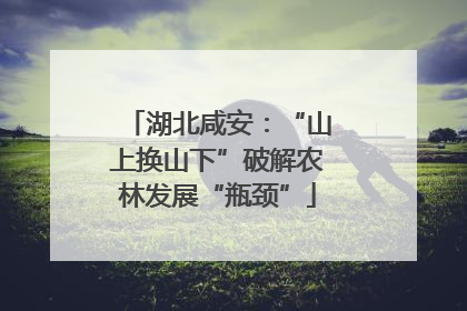 湖北咸安：“山上换山下”破解农林发展“瓶颈”