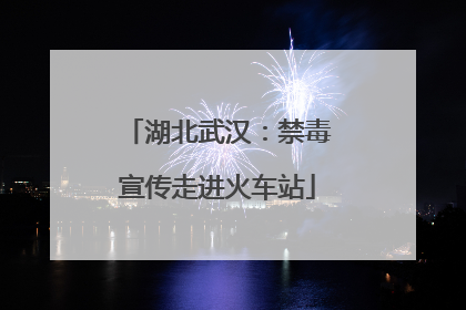 湖北武汉：禁毒宣传走进火车站