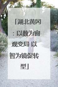 湖北黄冈：以数为窗观变局 以智为镜促转型