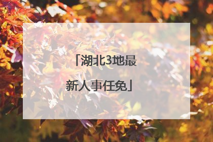 湖北3地最新人事任免