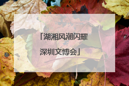 湖湘风潮闪耀深圳文博会