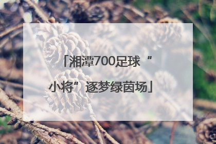 湘潭700足球“小将”逐梦绿茵场