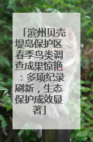 滨州贝壳堤岛保护区春季鸟类调查成果惊艳：多项纪录刷新，生态保护成效显著