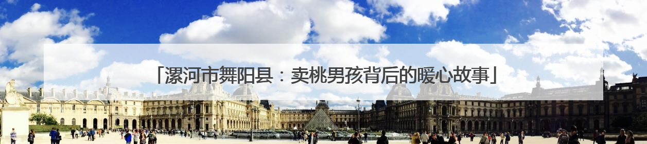 漯河市舞阳县：卖桃男孩背后的暖心故事