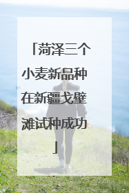 菏泽三个小麦新品种在新疆戈壁滩试种成功
