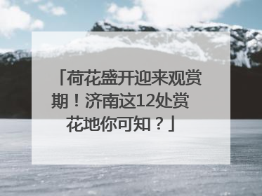 荷花盛开迎来观赏期！济南这12处赏花地你可知？
