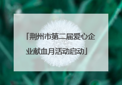 荆州市第二届爱心企业献血月活动启动