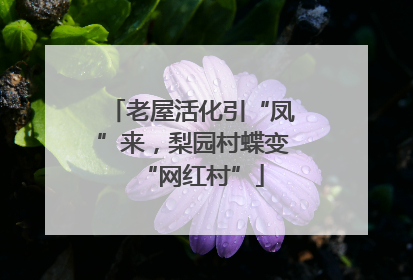 老屋活化引“凤”来，梨园村蝶变“网红村”
