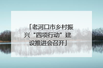老河口市乡村振兴“四项行动”建设推进会召开