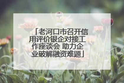 老河口市召开信用评价银企对接工作座谈会 助力企业破解融资难题