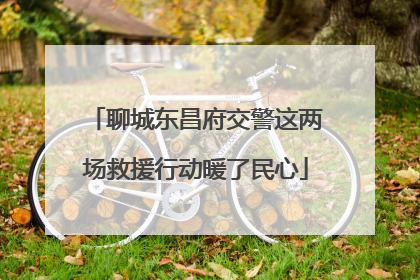 聊城东昌府交警这两场救援行动暖了民心