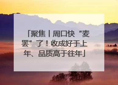 聚焦丨周口快“麦罢”了！收成好于上年、品质高于往年