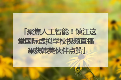 聚焦人工智能！镇江这堂国际虚拟学校视频直播课获韩美伙伴点赞