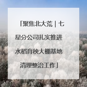 聚焦北大荒｜七星分公司扎实推进水稻育秧大棚基地清理整治工作